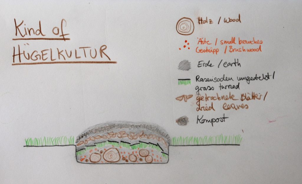 hugelkultur-1