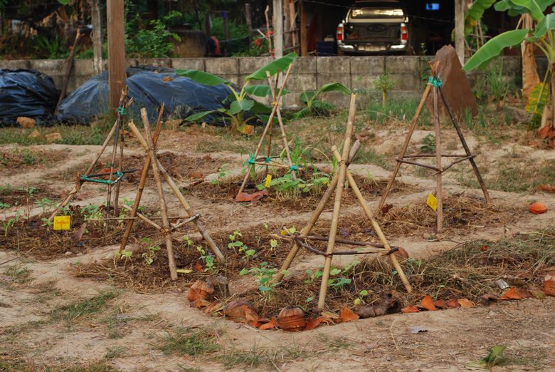 To Mulch or not to Mulch